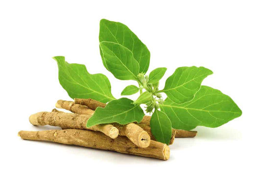 Harnessing The Power Of Ashwagandha: Exploring Its Wide-Ranging Health Benefits - AVY Health & Beauty