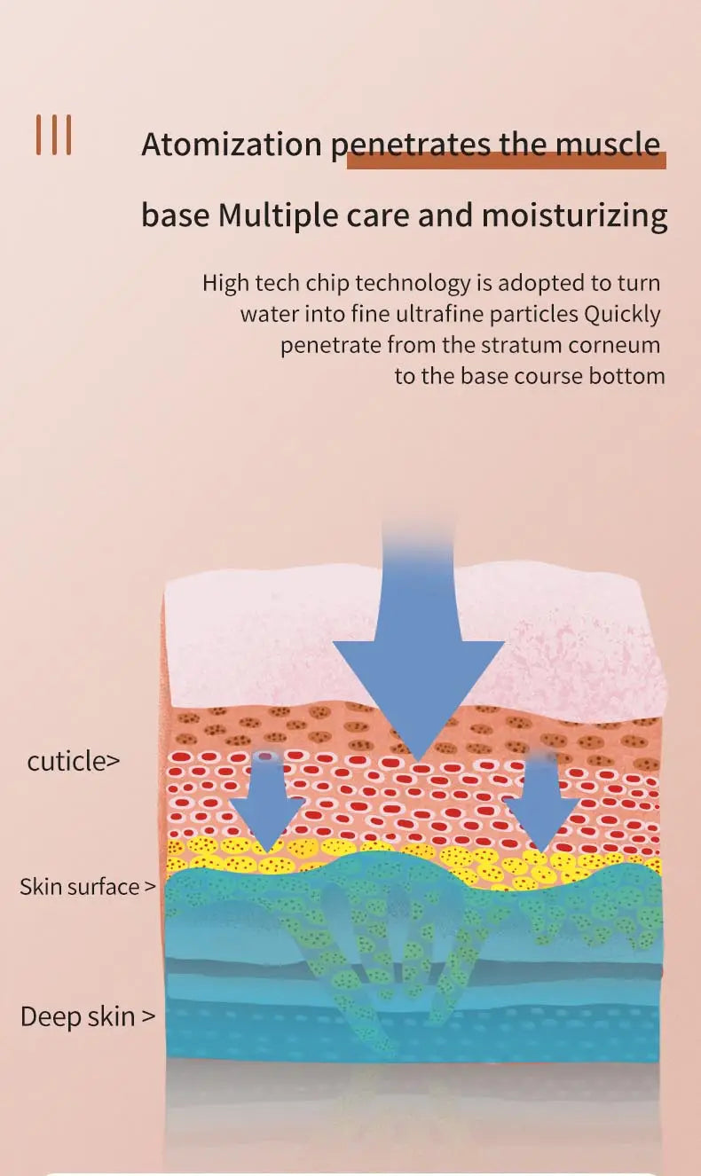 Cross-section of skin layers illustrating moisturizer penetration with Nano Ionic Face Steamer.