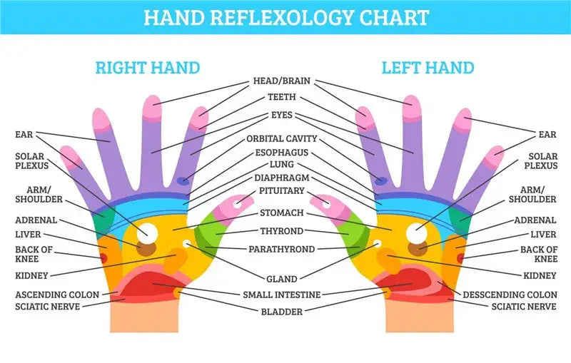 Hand reflexology chart illustrating pressure points for electric hand massager therapy.